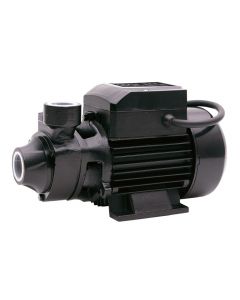 SIP EP2M clean water surface mounted pump